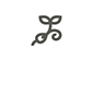 Superfood